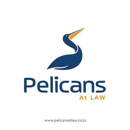 Pelicans At Law